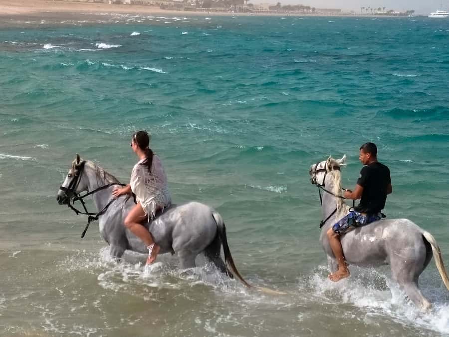 Hurghada: Arabian Desert and Sea Horseback Adventure - VIP 4-Hour Horse Riding With a Red Sea Swim Stop