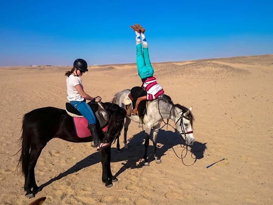 Hurghada: Arabian Desert and Sea Horseback Adventure - How the Guides Keep Things Safe (and Let You Ride Confidently)