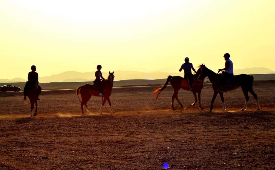 Hurghada: Arabian Desert and Sea Horseback Adventure - Price and Value: Is $20 Worth It?