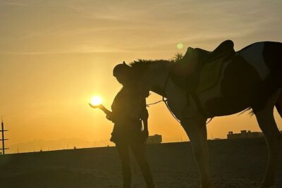 Hurghada: Red Sea & Desert Horse Riding Tour with Swimming - 3 Hours in Practice: Pickup to Beach and Water