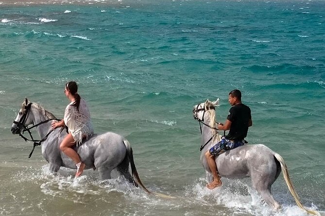 Hurghada: Sea & Desert Horseback Riding, Stargazing, Dinner, Show - The Sunset Option: Stargazing, Dinner, and an Egypt-Style Show