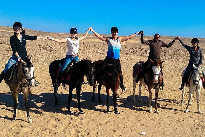 Hurghada: Sea & Desert Horseback Riding, Stargazing, Dinner, Show - Guides, Safety, and Rider Levels That Feel Comfortable