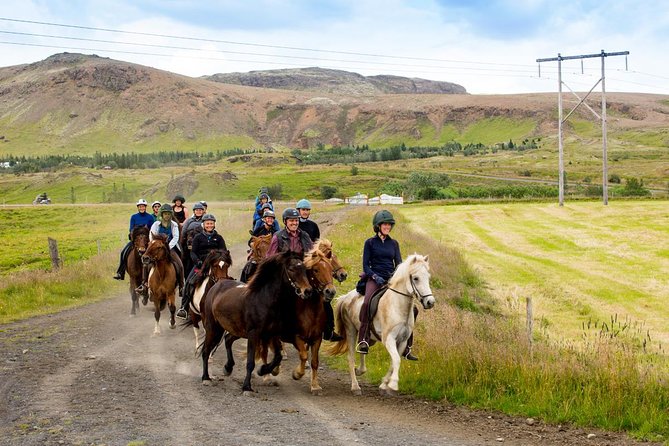 Icelandic Horse Riding and Whale Watching Cruise from Reykjavík - Getting There: Pickup, the 9:00 Start, and Why Timing Matters