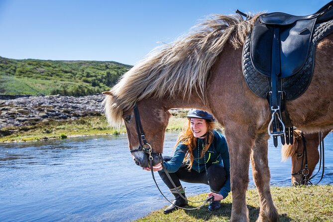 Icelandic Horse Riding and Whale Watching Tour from Reykjavik - 5 Key Things That Make This Combo Worth Your Time
