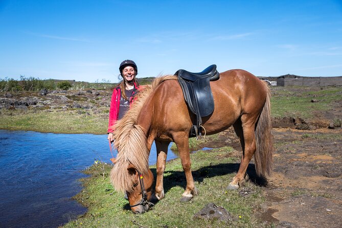 Icelandic Horse Riding and Whale Watching Tour from Reykjavik - The Photo Stops and the Pace That Actually Works