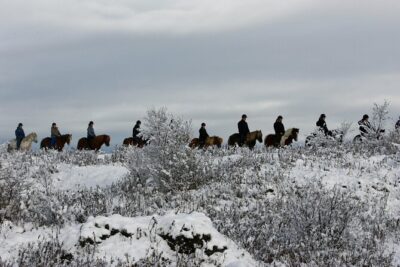Icelandic Horse Riding and Whale Watching Tour from Reykjavik - Tölt on Trails: Why These Icelandic Horses Ride So Differently