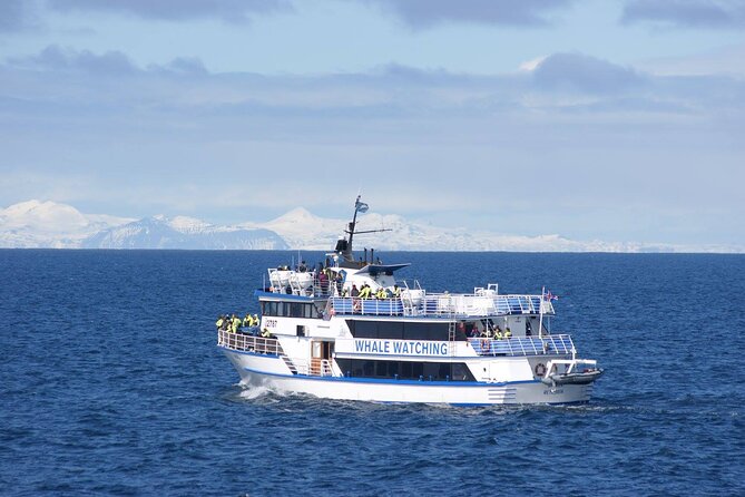 Icelandic Horse Riding and Whale Watching Tour from Reykjavik - Small-Group Value: Guides Who Actually Watch You