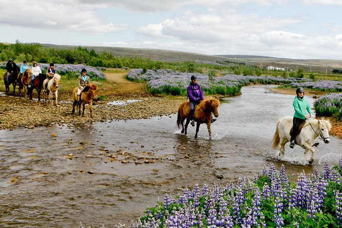 Icelandic Horseback Riding Tour Including Pick Up from Reykjavik - From Your Hotel to the Stables: Pickup That Actually Works