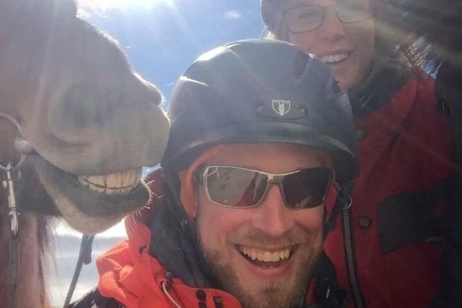 Icelandic Horseback Riding Tour Including Pick Up from Reykjavik - The 3.5-Hour Experience: Trailer Ride, Trail Time, and River Crossings