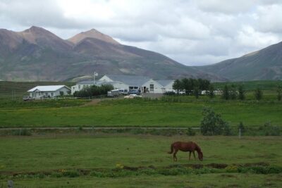 Icelandic Horseback Riding Tour Including Pick Up from Reykjavik - Getting Matched to Your Horse: A Quick Check That Changes Everything