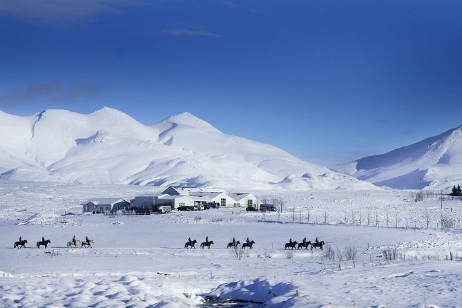 Icelandic Horseback Riding Tour Including Pick Up from Reykjavik - Who This Tour Is Best For (and Who Should Think Twice)