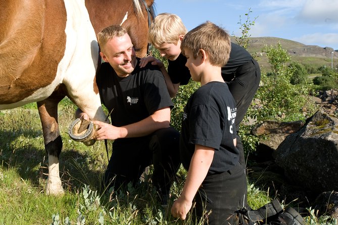 Icelandic Horseback Riding Tour Including Pick Up from Reykjavik - How to Prepare: Small Things That Make a Big Difference