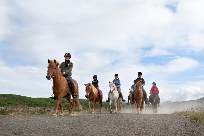 Icelandic Horseback Riding Tour with Pickup Option from Reykjavik - Where you ride: lava fields, moorland, and plenty of photo chances