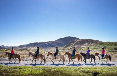 Icelandic Horseback Riding Tour with Pickup Option from Reykjavik - Getting matched to your riding level without slowing everyone down