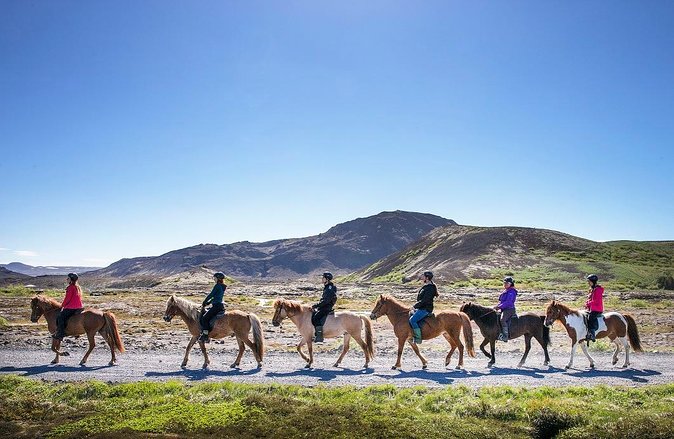 Icelandic Horseback Riding Tour with Pickup Option from Reykjavik - Getting matched to your riding level without slowing everyone down