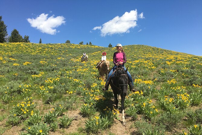 Jackson Hole Horseback Riding in Bridger Teton National Forest - Turpin Meadow Ranch Meet-Up: Easy to Find, Built for Horses