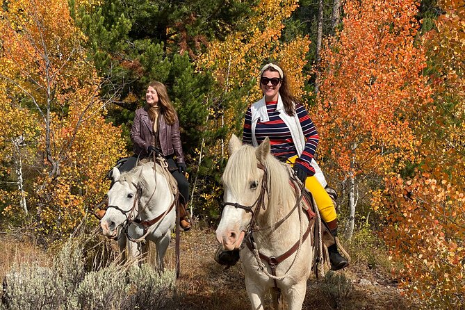 Jackson Hole Horseback Riding in Bridger Teton National Forest - The 2-Hour Trail Itinerary: Rivers, Meadows, Aspen, and Mountain Views