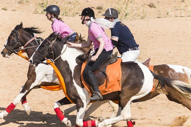 Jaipur Horse Riding Adventure - From Slow Walks to Trot and Canter: How the Ride Actually Feels