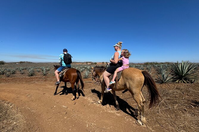Jungle and Beach Horseback ride Tour in Pacific Coast - Key points before you book
