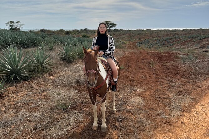 Jungle and Beach Horseback ride Tour in Pacific Coast - Price and value: what $90 really buys you in 3 hours