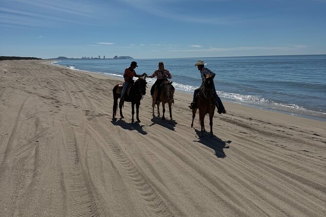 Jungle and Beach Horseback ride Tour in Pacific Coast - Getting picked up in Mazatlán: hotel lobby or the port