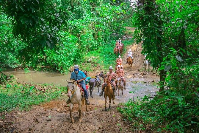 Jungle Buggies + Zilplining + Horseback Ride + Countryside + Macao Beach - Lunch, Fruit, and Cigar Tasting Without the Rush