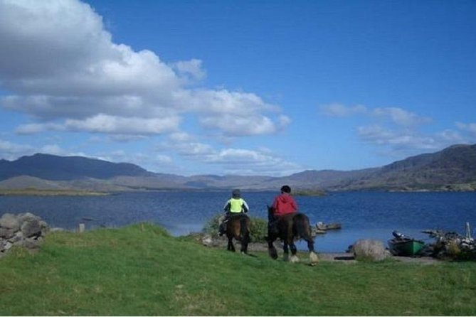 Killarney National Park Horseback Ride. Co Kerry. Guided. 1 hour. - Meeting at Ballydowny: How to Time Your Arrival