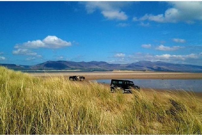 Killarney National Park Horseback Ride. Co Kerry. Guided. 1 hour. - Pace, Control, and Comfort: What to Expect as a Rider