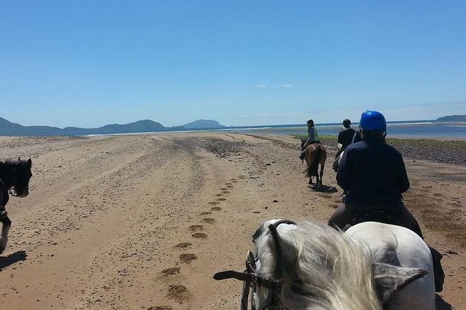 Killarney National Park Horseback Ride. Co Kerry. Guided. 2 hours. - The meeting point at Ballydowny: timing is part of the experience