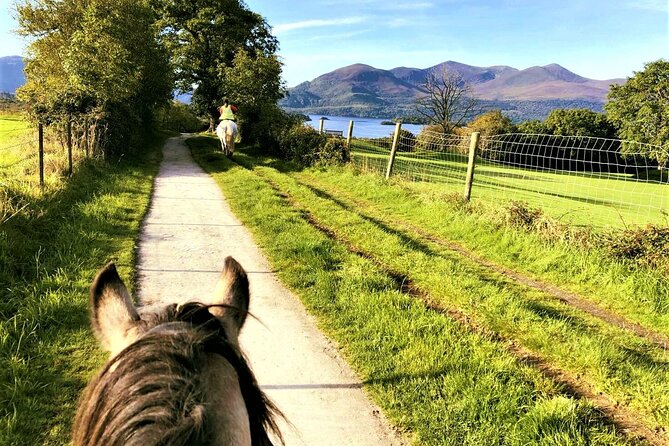 Killarney National Park Horseback Ride. Co Kerry. Guided. 3 hours. - Small-group magic: helmets, boots, and real help from your guide