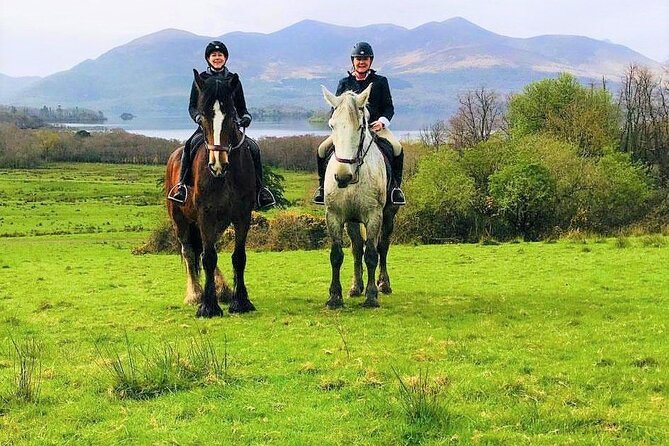 Killarney National Park Horseback Ride. Co Kerry. Guided. 3 hours. - Price and value: is $282.97 for 3 hours worth it?