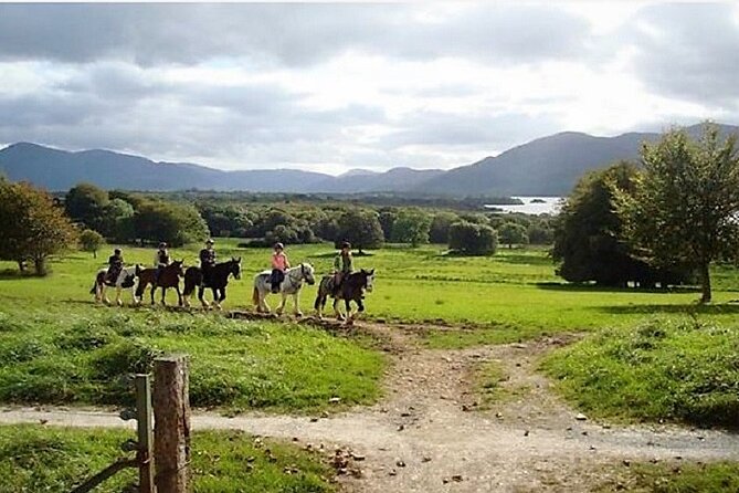 Killarney National Park Horseback Ride. Co Kerry. Guided. 3 hours. - What to bring so you feel prepared (without overpacking)