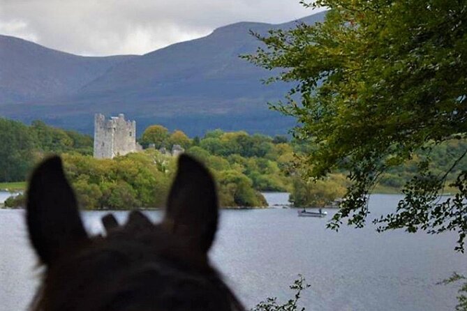 Killarney National Park Horseback Ride. Co Kerry. Guided. 3 hours. - Should you book the Killarney National Park horseback ride?