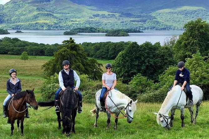 Killarney National Park Horseback Ride. Co Kerry. Guided. 3 hours. - What you actually do on the trail in Killarney National Park