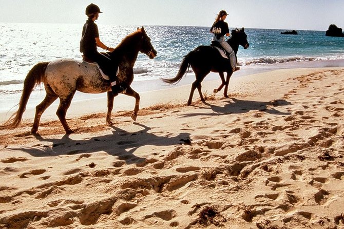 Krabi Horse Riding at Ao Nam Mao Beach - Key things I’d circle before you book