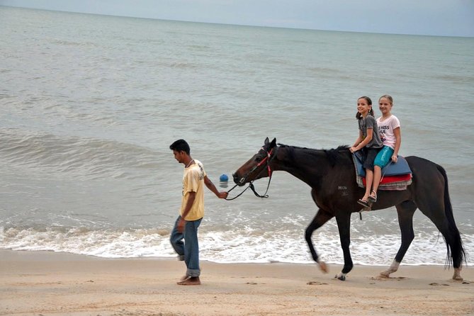 Krabi Horse Riding at Ao Nam Mao Beach - The countryside route: beach, villages, and farm fields