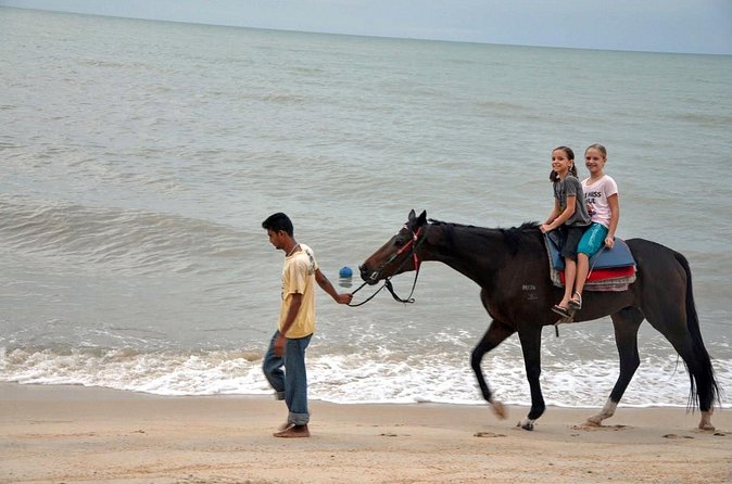 Krabi Horse Riding at Ao Nam Mao Beach - Safety basics: helmets, guidance, and the 90 kg limit