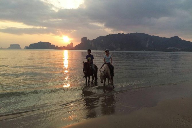 Krabi Horse Riding at Ao Nam Mao Beach - Horses and animal welfare: what the reviews suggest, and how you can sanity-check it
