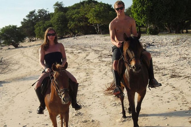 Krabi Horse Riding at The Beach - Key points before you go