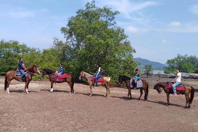 Krabi Horse Riding at The Beach - Morning, afternoon, or sunset: choosing the right time in Krabi