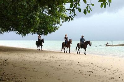 Krabi Horse Riding at The Beach - Beginner-friendly setup: helmets, safety briefing, and horse assignment