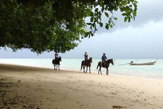 Krabi Horse Riding at The Beach - The beach ride and the optional horse swim add-on