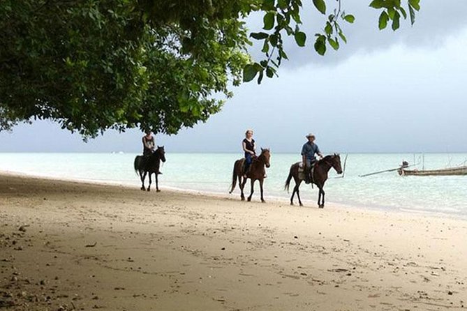 Krabi Horse Riding at The Beach - Beginner-friendly setup: helmets, safety briefing, and horse assignment
