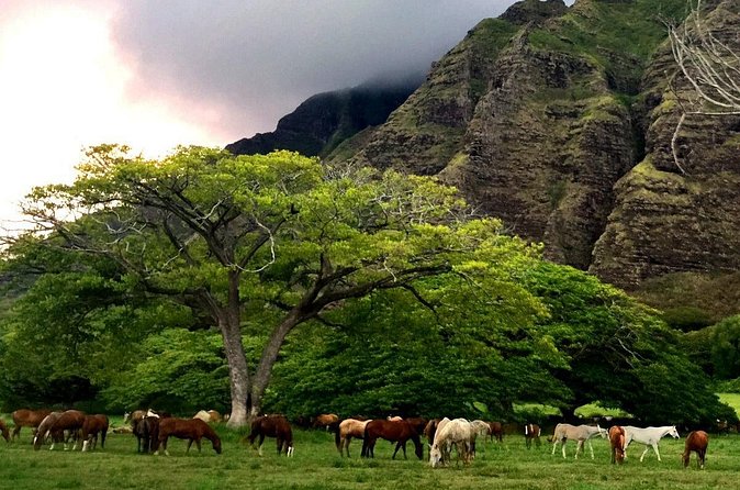 Kualoa Ranch - Horseback Walking Tour - What to Wear and Bring (So You’re Not Miserable in the Saddle)
