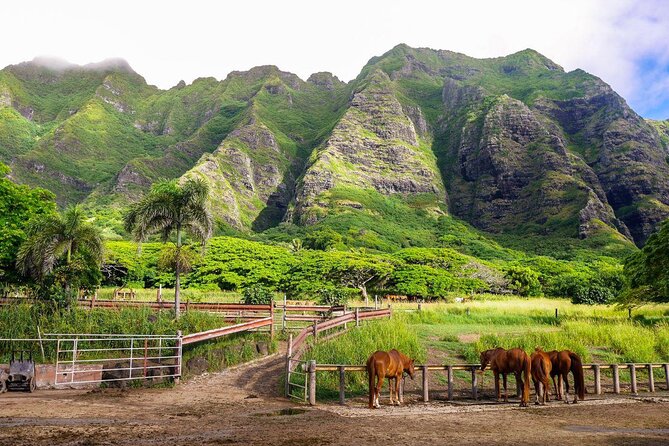 Kualoa Ranch: Jungle Expedition Tour - Key highlights you’ll feel fast