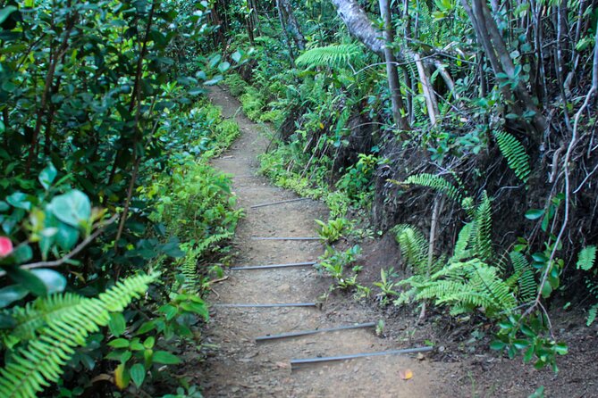 Kualoa Ranch: Jungle Expedition Tour - Moliʻi Pond: an 800-year-old Hawaiian fishpond stop that changes how you look at the land
