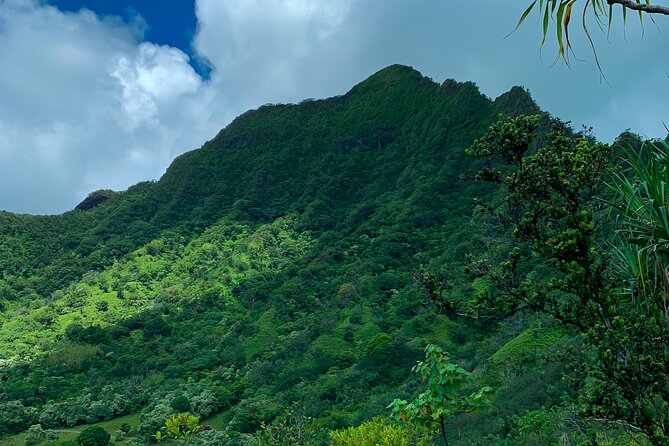 Kualoa Ranch: Jungle Expedition Tour - Who should go—and who should skip the Jungle Expedition ride
