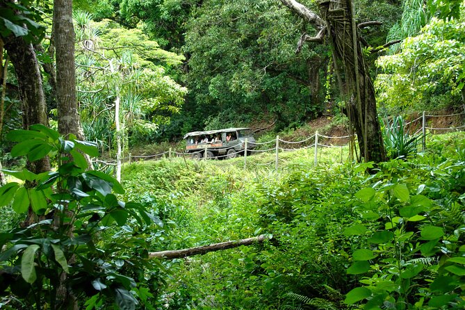 Kualoa Ranch: Jungle Expedition Tour - Your off-road ride: Swiss Pinzgauer vs. Ford F-350 on working ranch roads