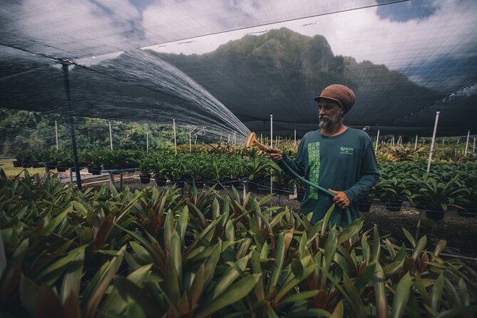 Kualoa Ranch - Kualoa Grown Tour - Tropical Gardens and Fruit Plantations You Can Taste