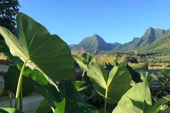 Kualoa Ranch - Kualoa Grown Tour - What to Bring (and What to Avoid Overthinking)